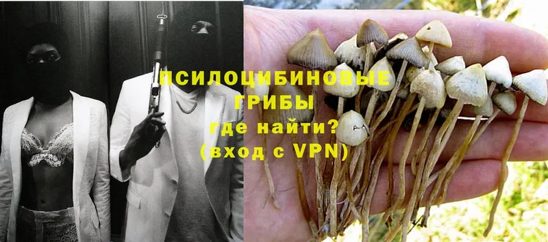 Псилоцибиновые грибы Magic Shrooms  блэк спрут ТОР  Кушва 